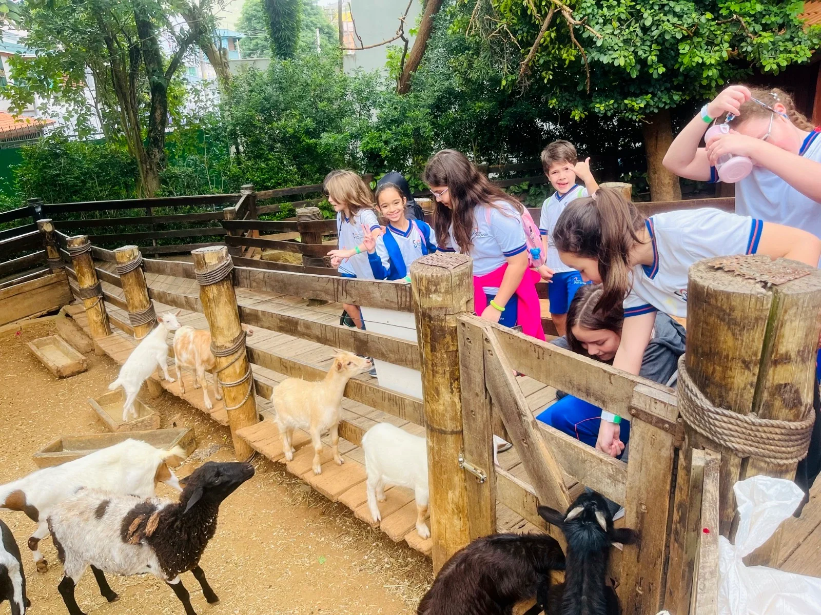 Estudantes observando animais durante uma atividade em grupo.